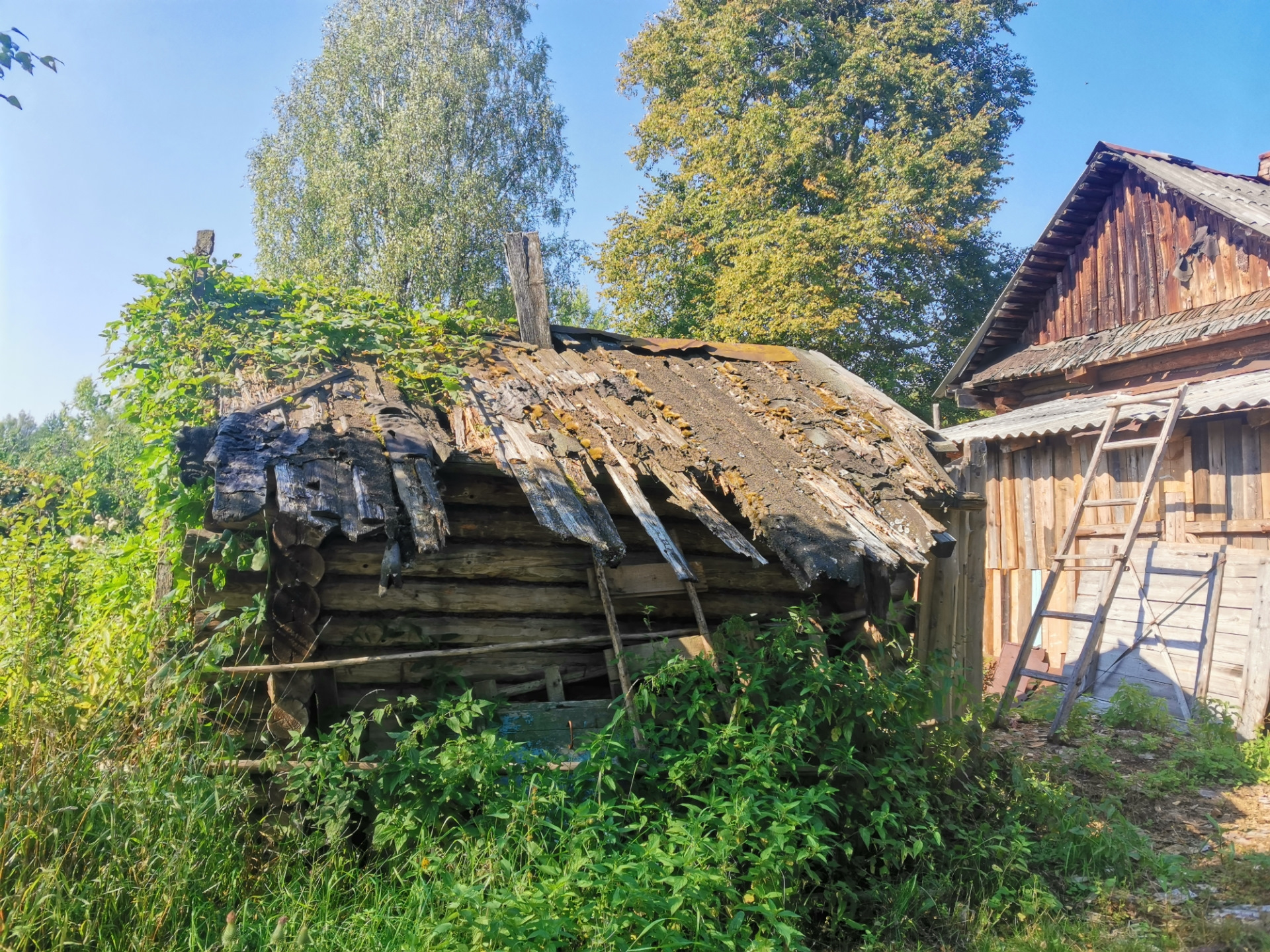 Село бочкари алтайский край. Бочкари деревня. Новая деревня в Бочкари. Деревня Бочкари Алтайский край. Деревня такая.