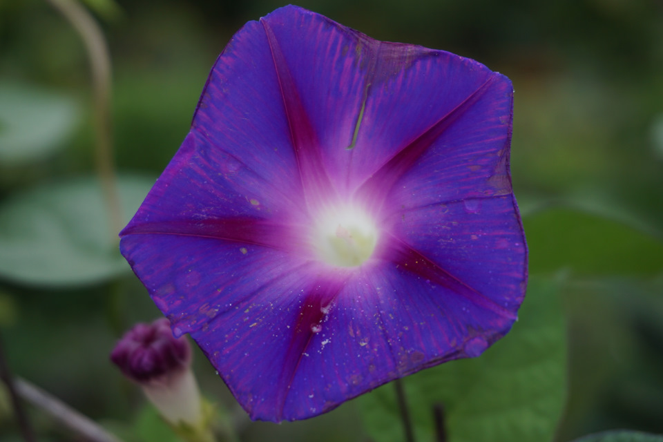 Фото в бортжурнале Nissan Murano II