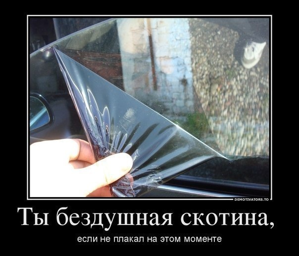 Открытка, как стекло смешные картинки