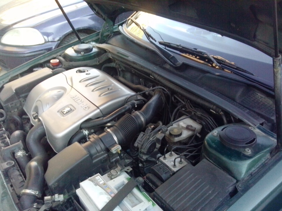 Крышечки))! — Peugeot 406, 2,2 л, 2001 года | аксессуары | DRIVE2