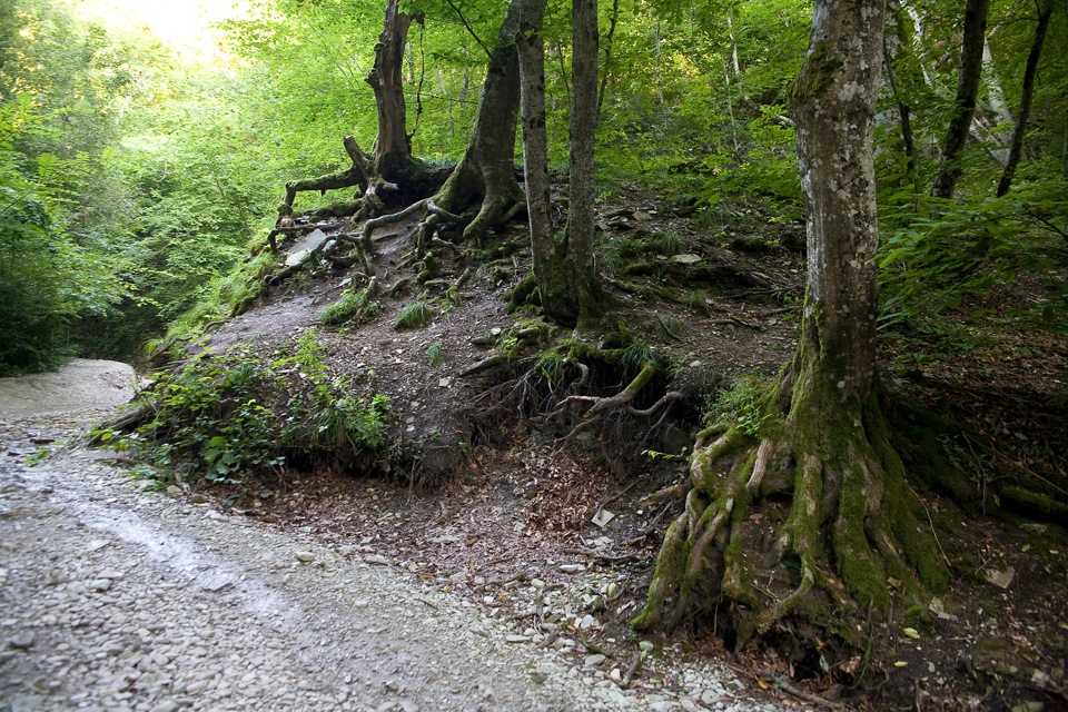 Фото в бортжурнале Citroen C3 Pluriel