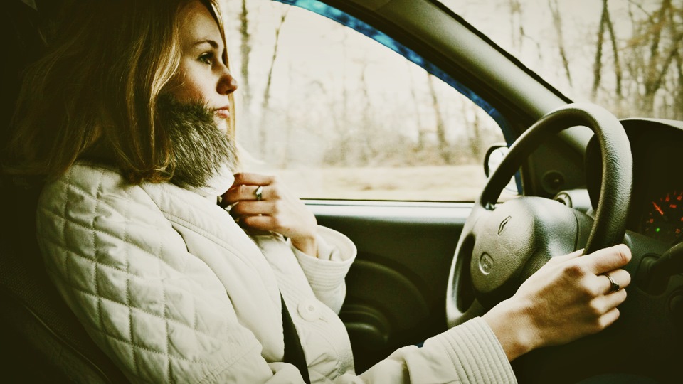 Камера в бескамерную покрышку — Renault Logan (1G), 1,4 л, 2008 года ...