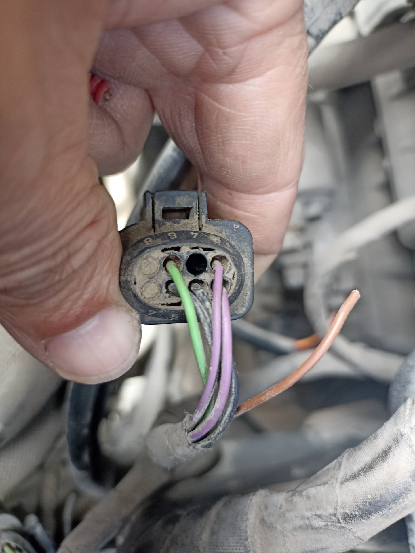 Дурацкие провода у ВАГа — Volkswagen Polo Sedan, 1,6 л, 2015 года ...