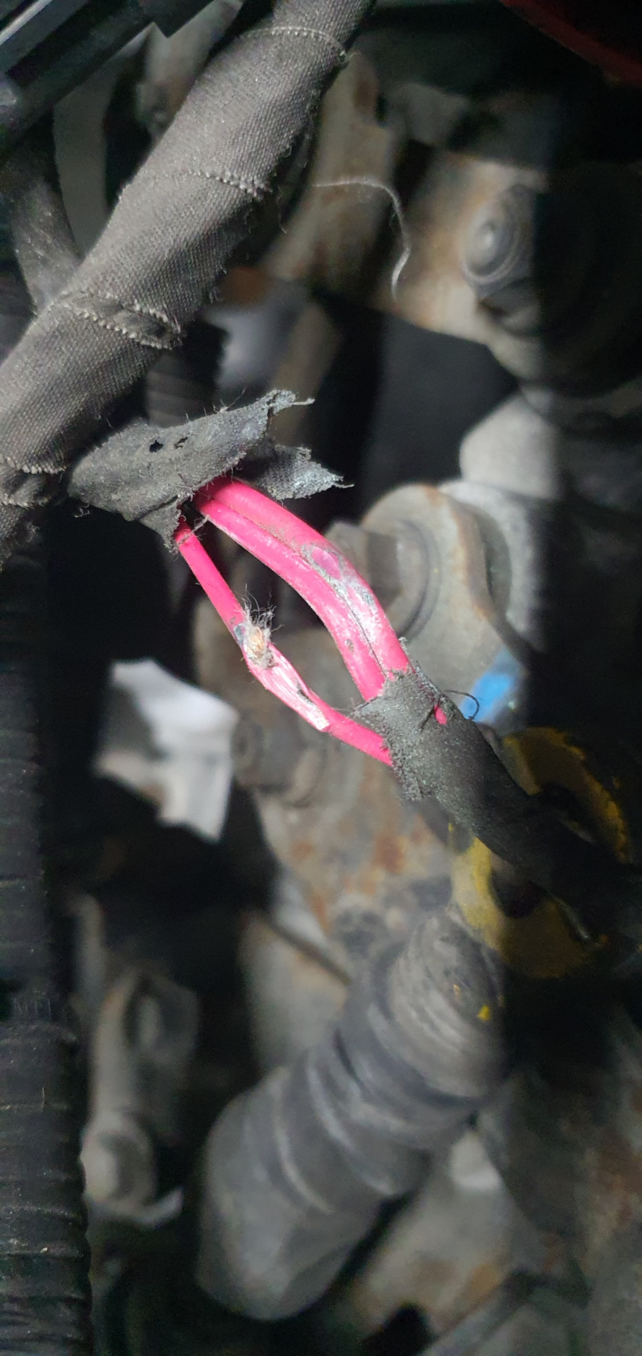 Поиск неисправности ГБО Prins DLM Direct Liqui Max 2.0 — KIA Sorento ...