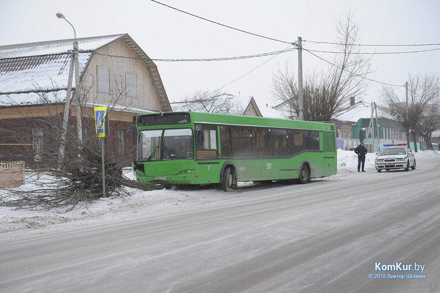 Бобруйский автобусный парк автобусы. МАЗ 303. Автобусы в Бобруйске в СССР.