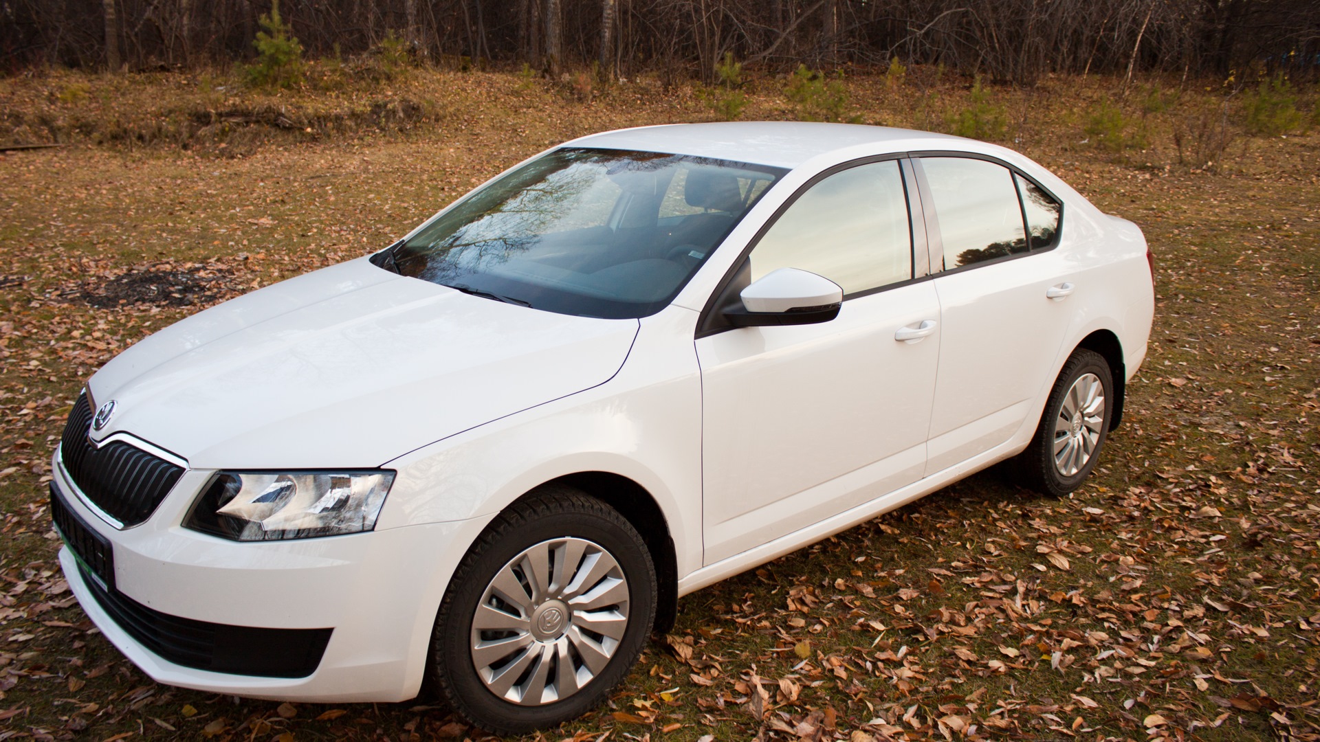 Octavia 1.2 tsi. Octavia 1.2 tsi
