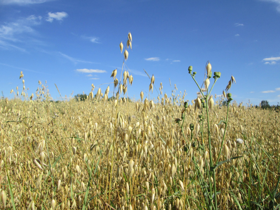 Фото в бортжурнале УАЗ 315195 Hunter