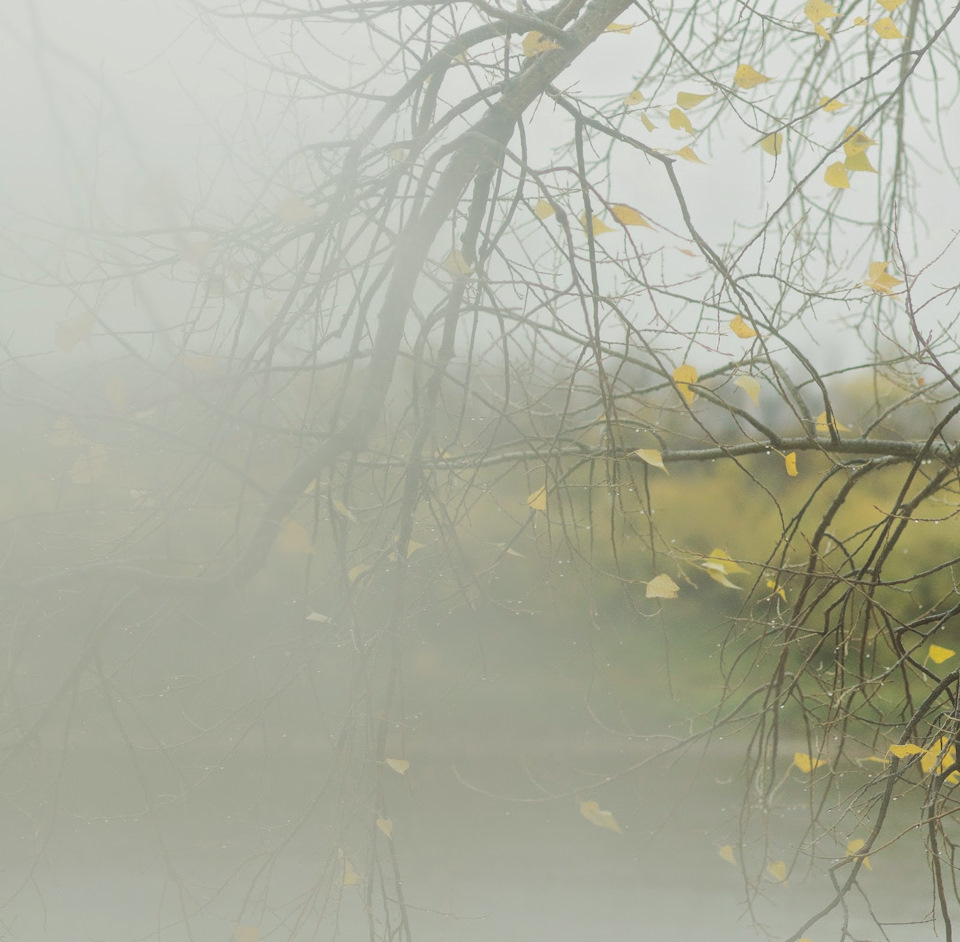 Потеют окна в дождь… — Сообщество «Audi C4 Club» на DRIVE2