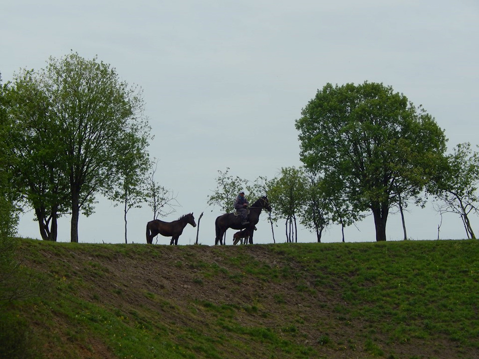 Фото в бортжурнале KIA Sportage (1G)