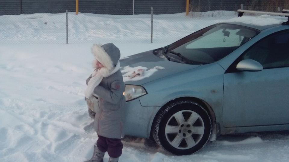 Прогорели 2 клапана в 1 цилиндре — Nissan Primera (P12), 1,6 л, 2004 ...