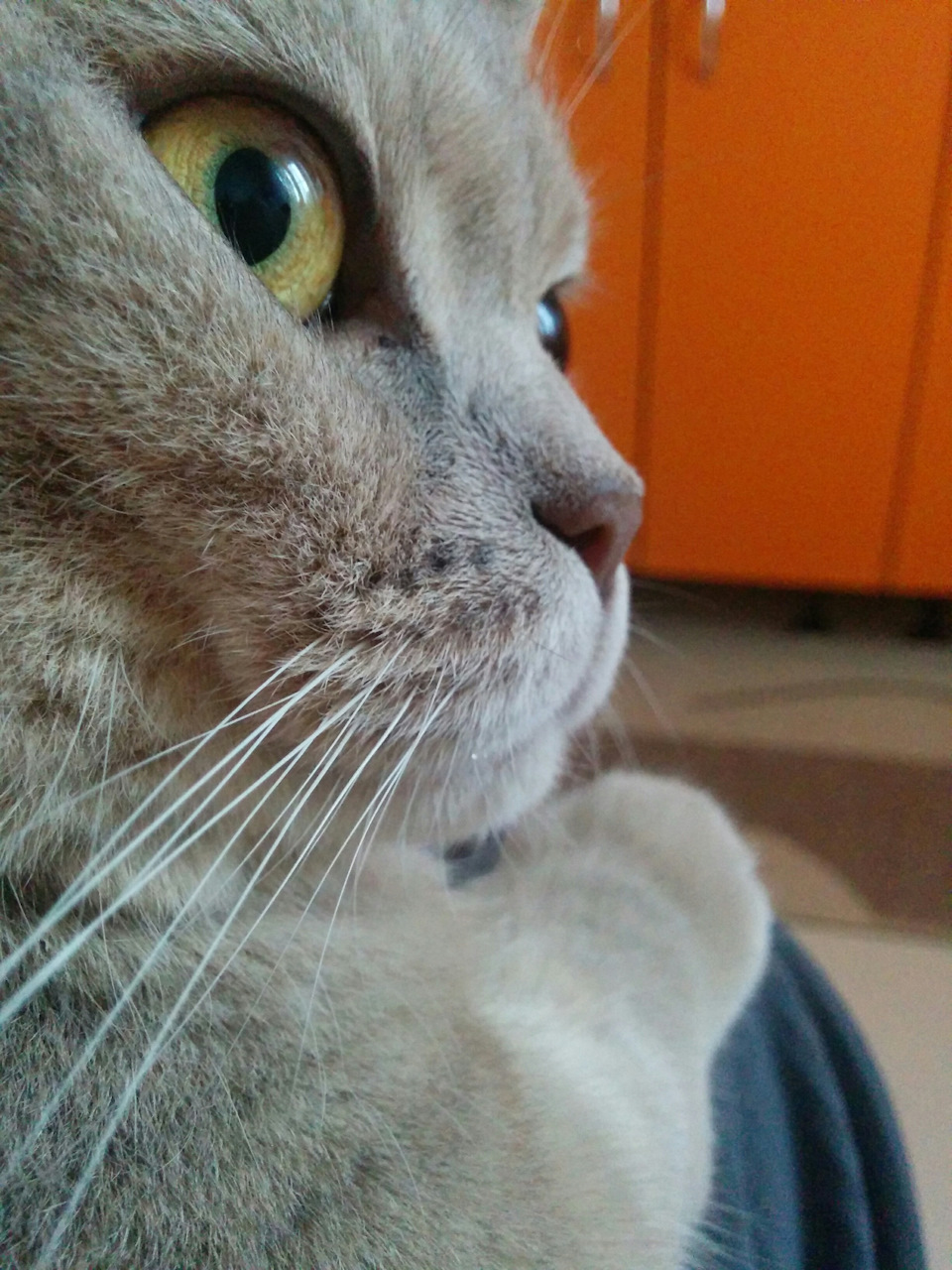 Фото в бортжурнале KIA Rio 5-door (3G)