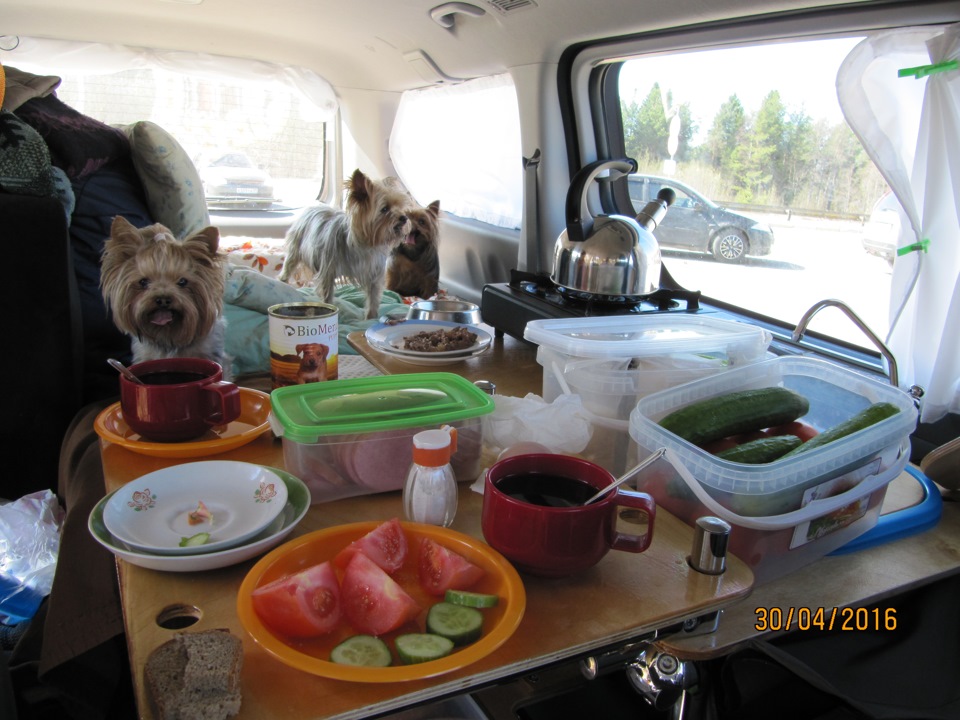 Северодвинск — Саранск — Hyundai H-1 (2G), 2,5 л, 2014 года ...