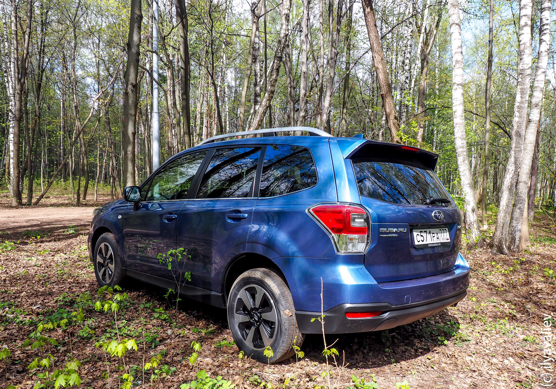 Forester drive2