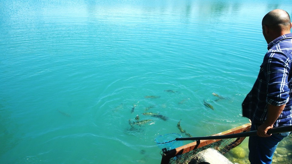 Вылов ужина — Mitsubishi Pajero (2G)