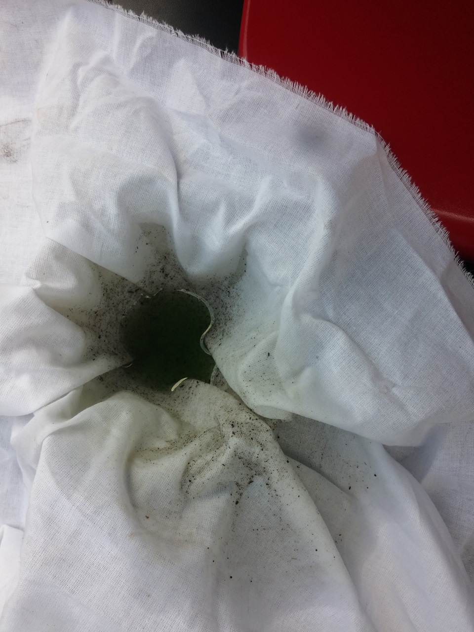 чистейшую тряпочку использовал как фильтр :) — Ford Mondeo III