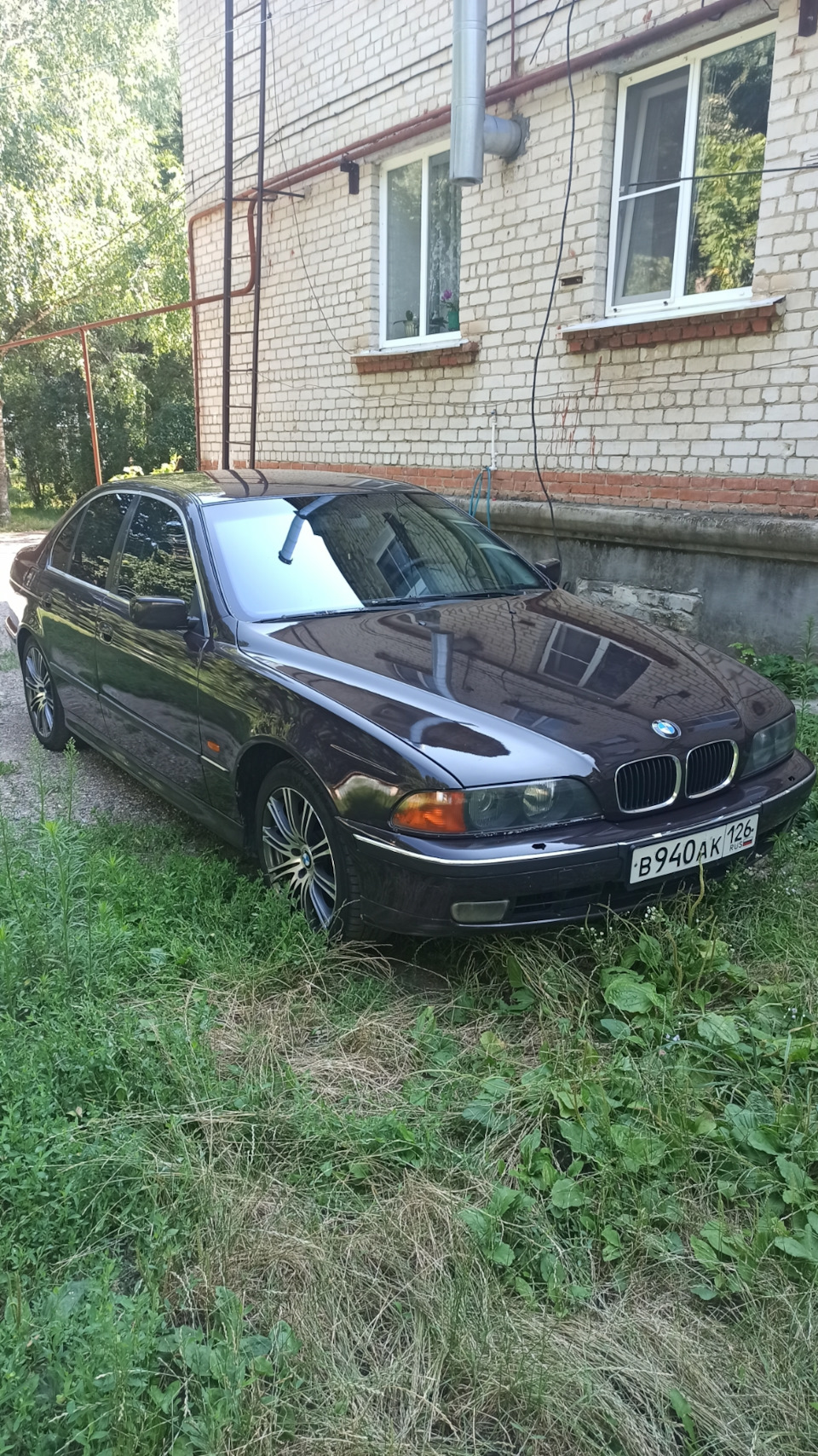 История появления — BMW 5 series (E39), 2,3 л, 1996 года | покупка машины |  DRIVE2