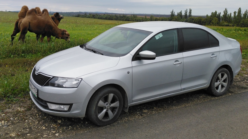 Skoda Rapid Серебряная пуля