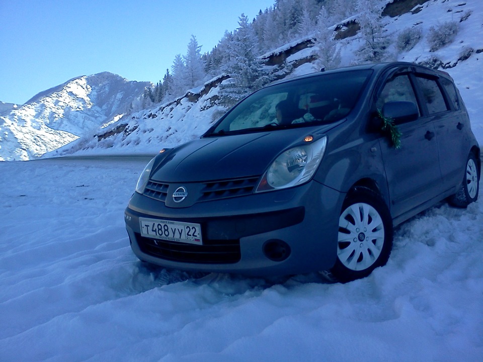 Ниссан енот. Енот на Nissan Note. Ниссан енот 2007. Ниссан енот 1,4. Ниссан енот 1,4 2006г.