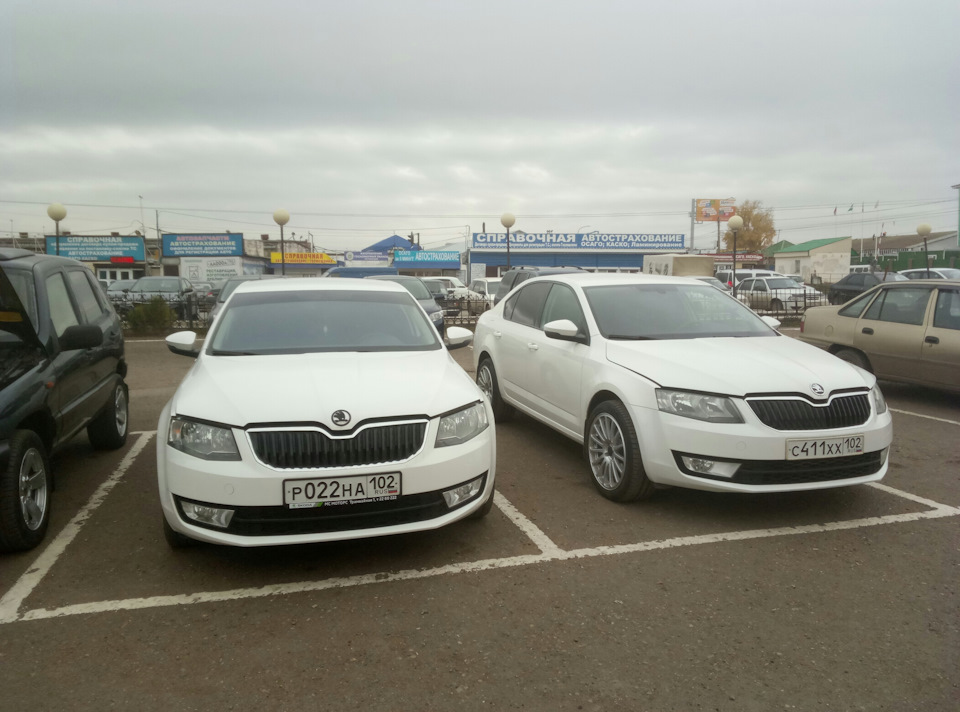 Фото в бортжурнале Skoda Octavia A7 Mk3