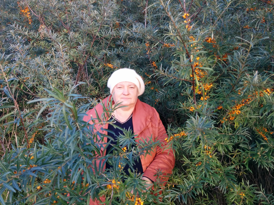 Фото в бортжурнале УАЗ 315195 Hunter