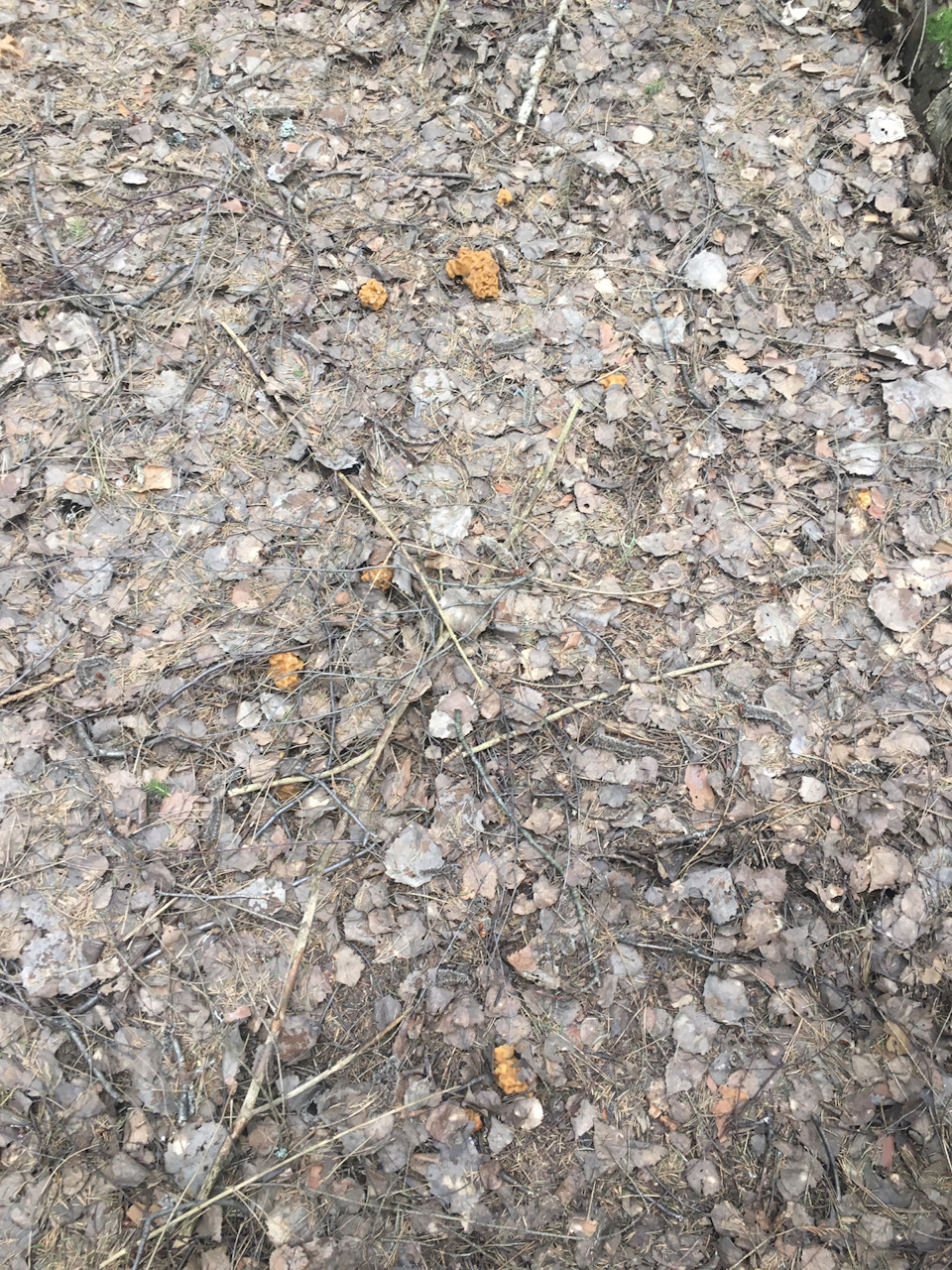 Фото в бортжурнале Nissan Note (1G)