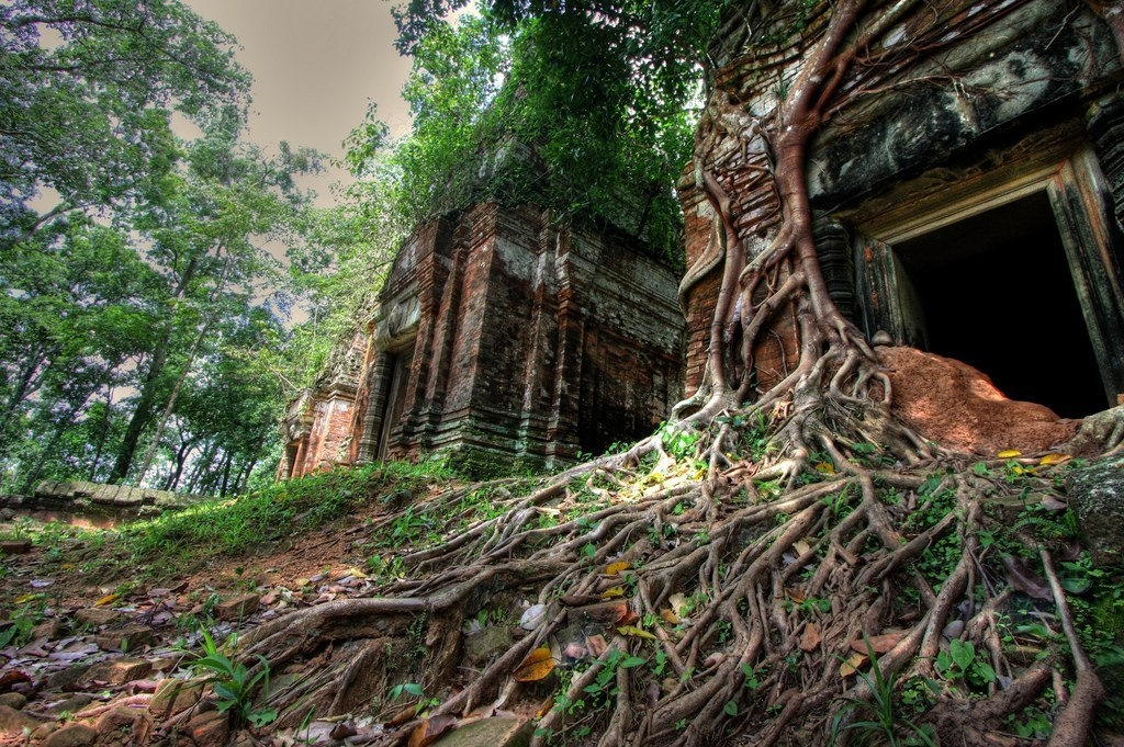 Затерянный в джунглях. Махендрапарвата Затерянный древний город в джунглях. Затерянный город в джунглях Ангкор. Камбоджа Махендрапарвата. Кох кер Камбоджа.