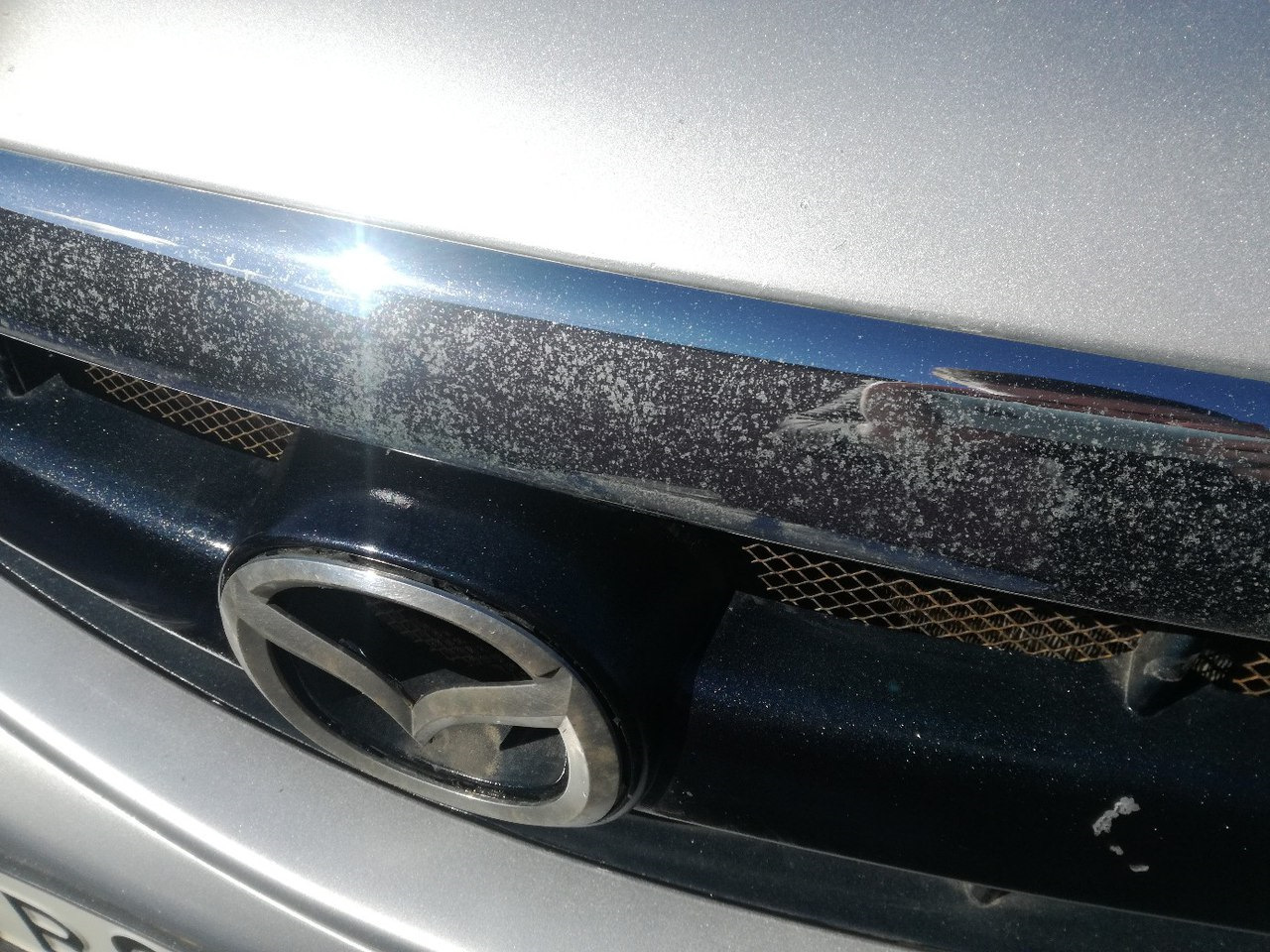 вкрапления в металле. хромирование деталей до и после. после хрома. хромированная деталь ржавеет. детали после гальваники хром.