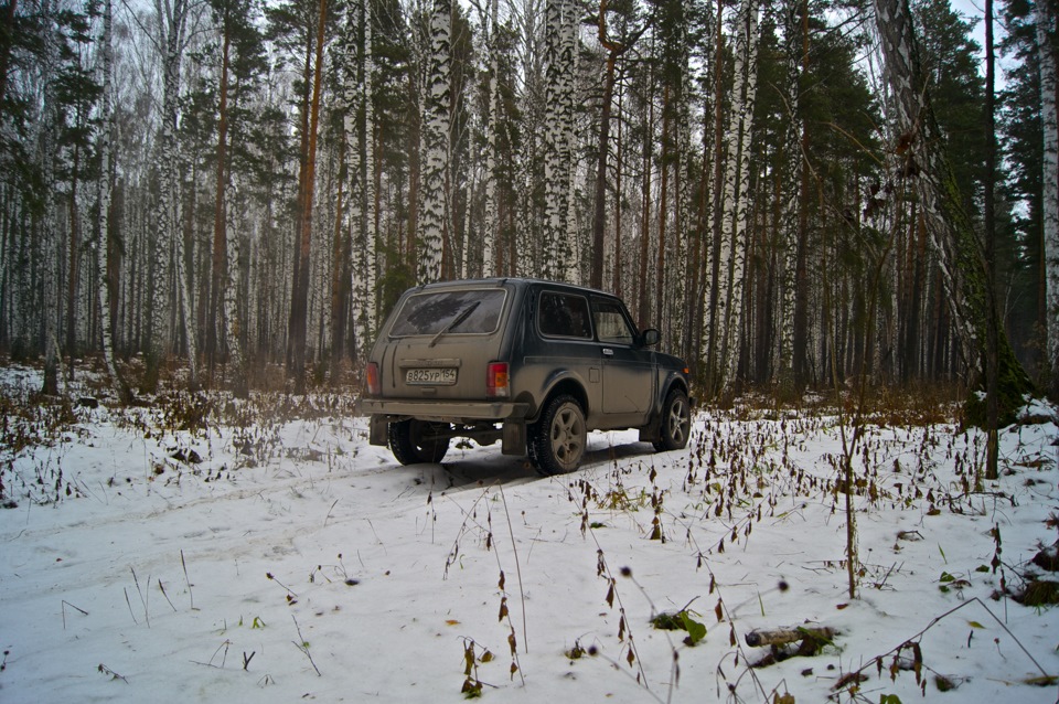 Лада 4x4 Нива в лесу