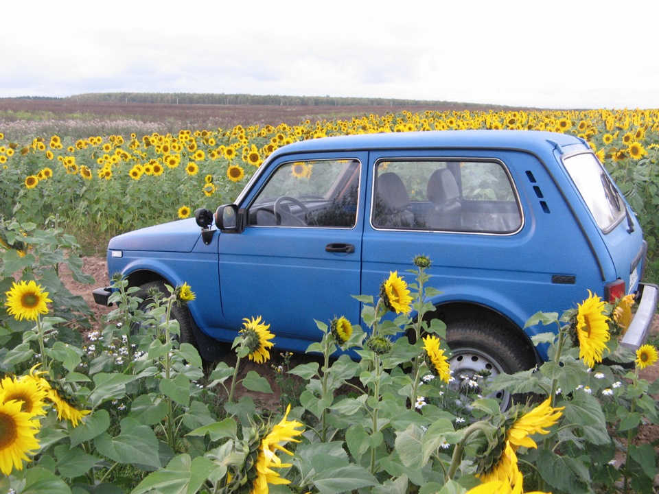 Нанесение раптора закончено — Lada 4x4 3D, 1,7 л, 2005 года | тюнинг ...