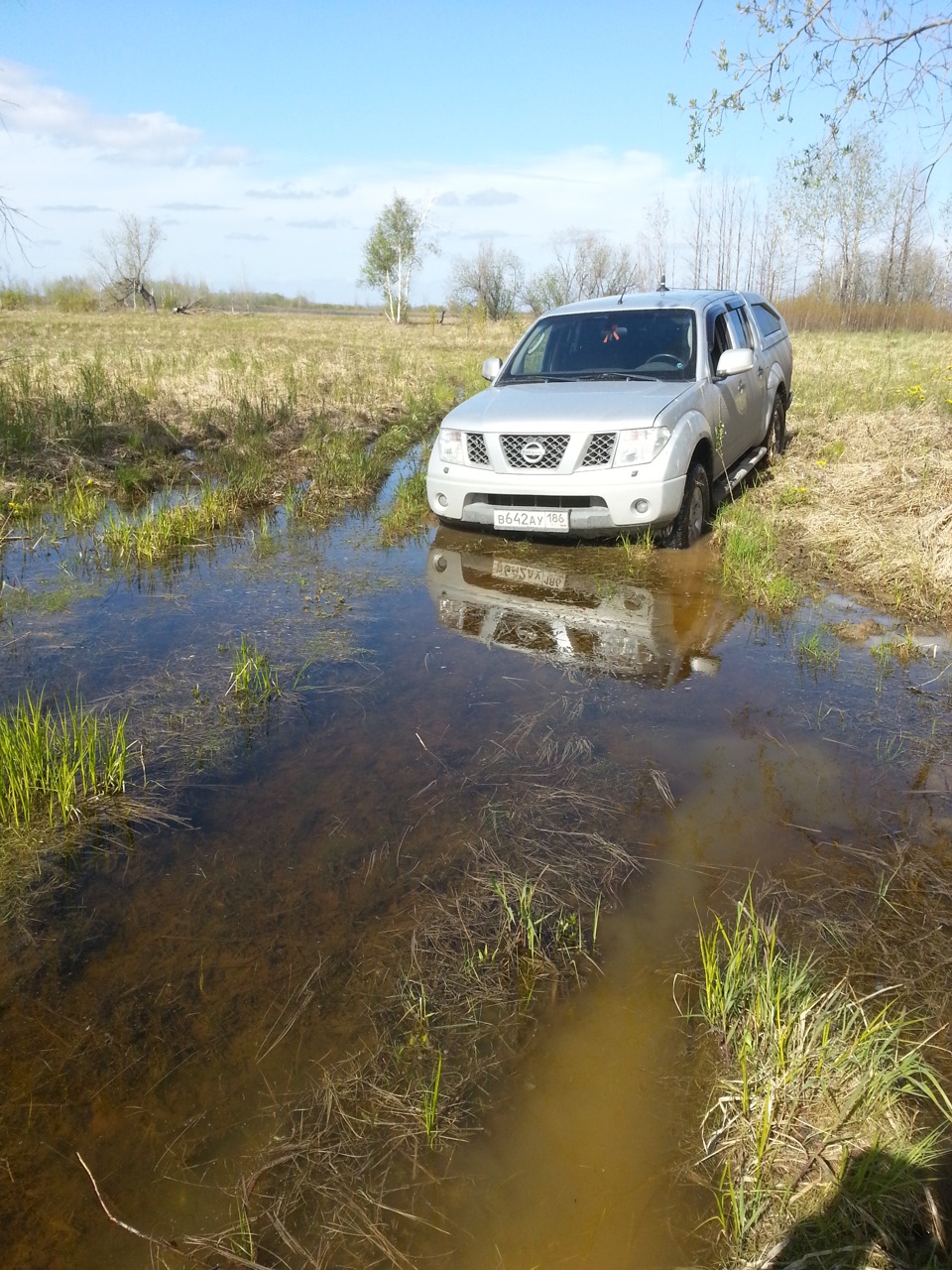 Засада. Или как засадить 3 машины в одном месте. — Nissan Navara (2G), 2,5  л, 2008 года | путешествие | DRIVE2