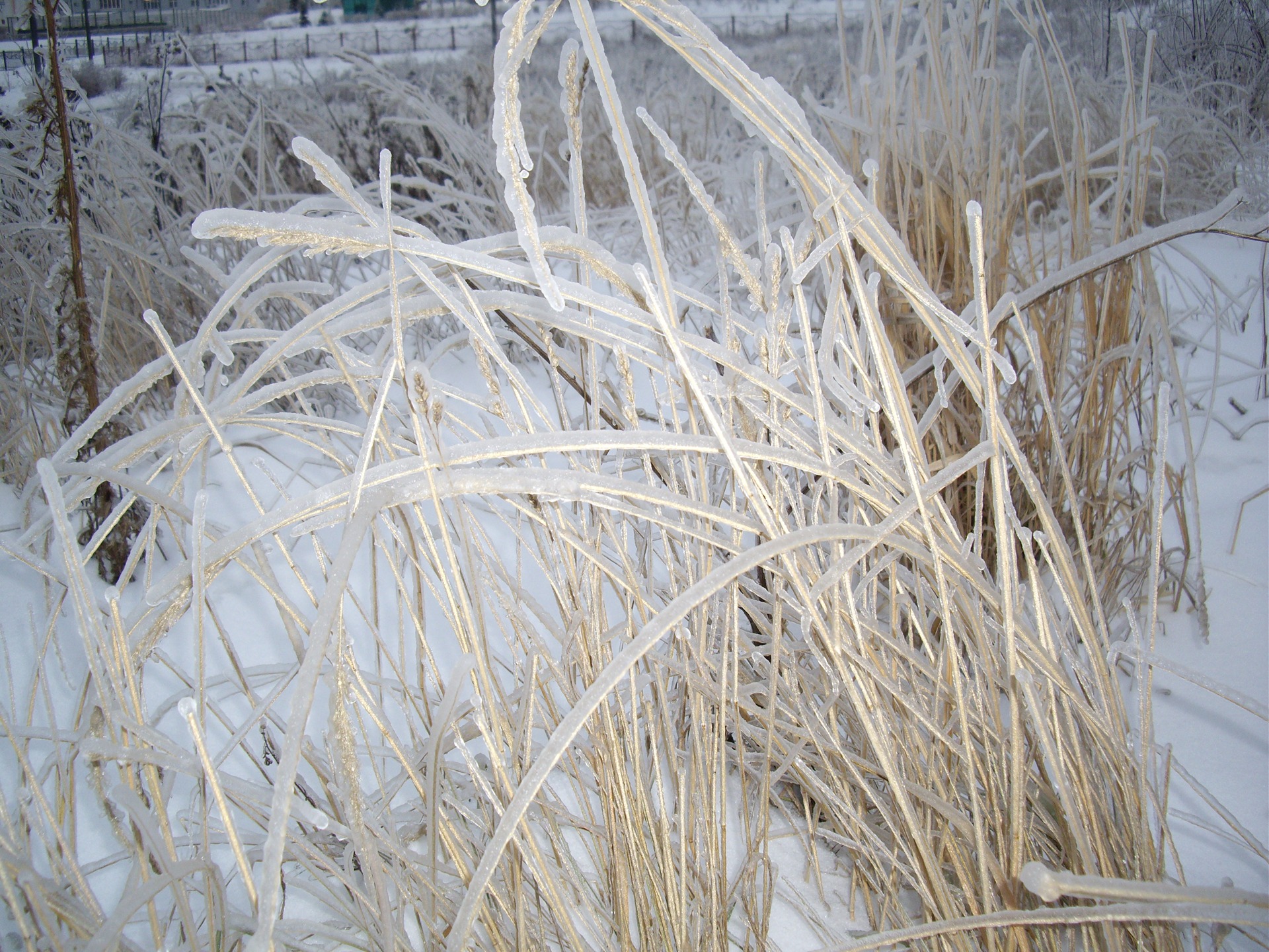 ледяной дождь в москве 2010