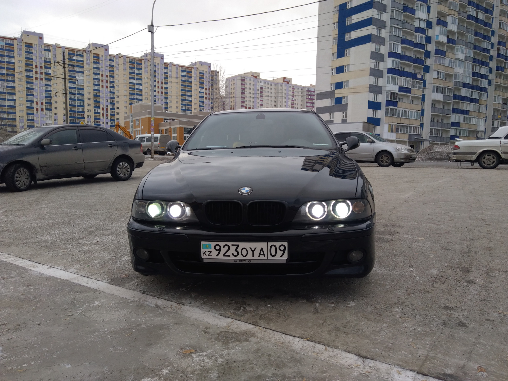 элит авто сибирь новосибирск. бавария моторс. большевистская 177 новосибирск. баварские моторные заводы офисы. бмв в новосибирске фото.