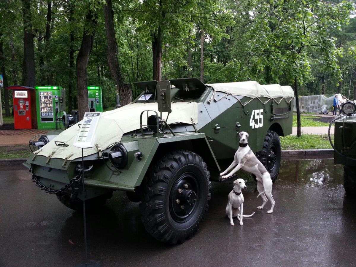 Бтр 40 железнодорожный