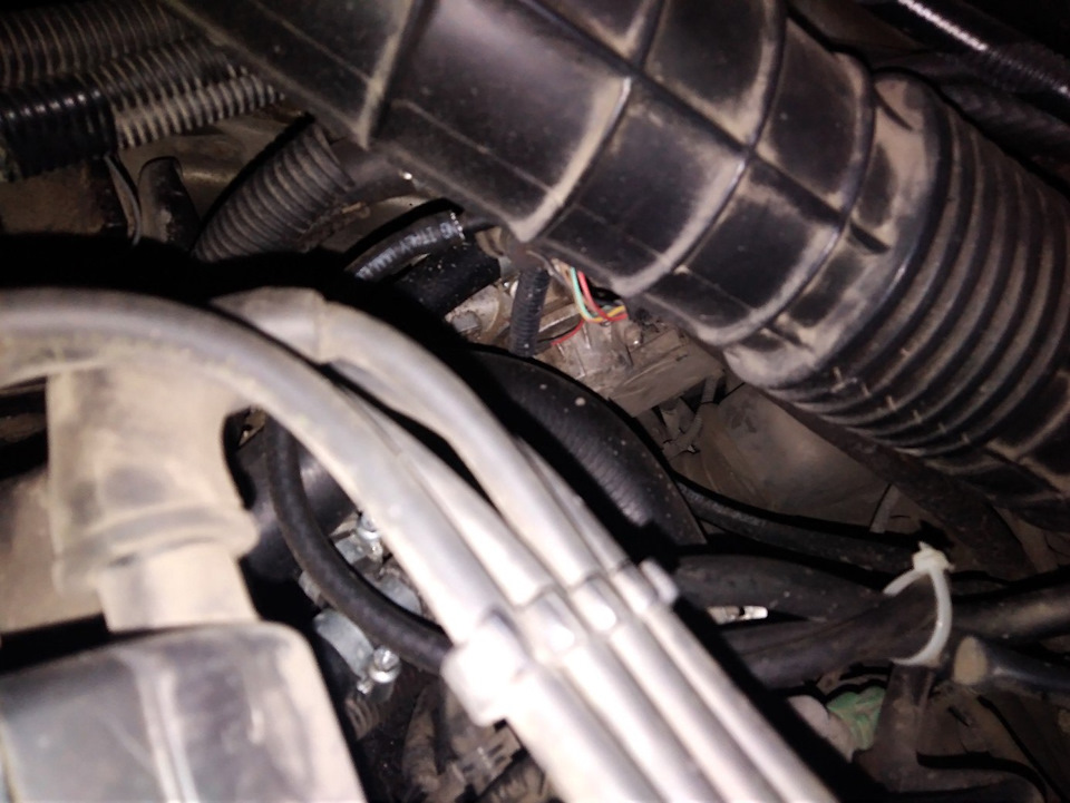 Газовое оборудование 4 поколение OMVL — Honda Accord (6G), 2 л, 1998 ...