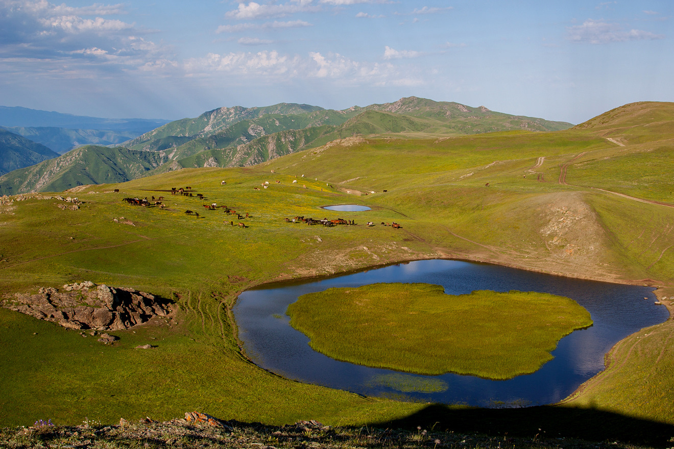 Джунгарский Алатау ущелье