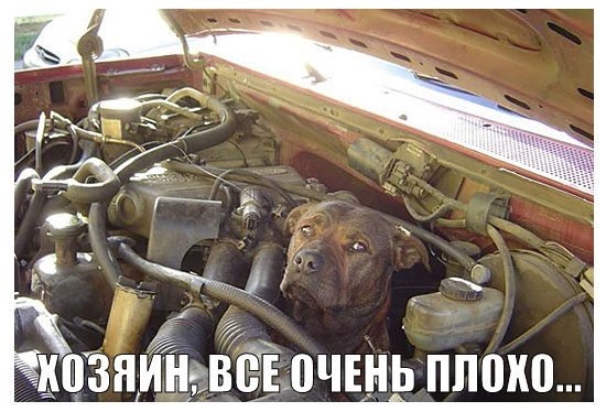 Что будет если долго не менять масло в мкпп. Смотреть фото Что будет если долго не менять масло в мкпп. Смотреть картинку Что будет если долго не менять масло в мкпп. Картинка про Что будет если долго не менять масло в мкпп. Фото Что будет если долго не менять масло в мкпп