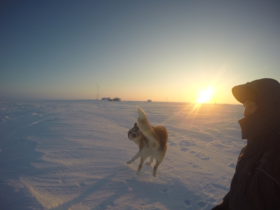 Фото в бортжурнале УАЗ 39095