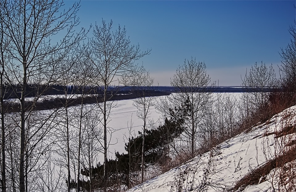 Ухватить зиму за хвост! — DRIVE2