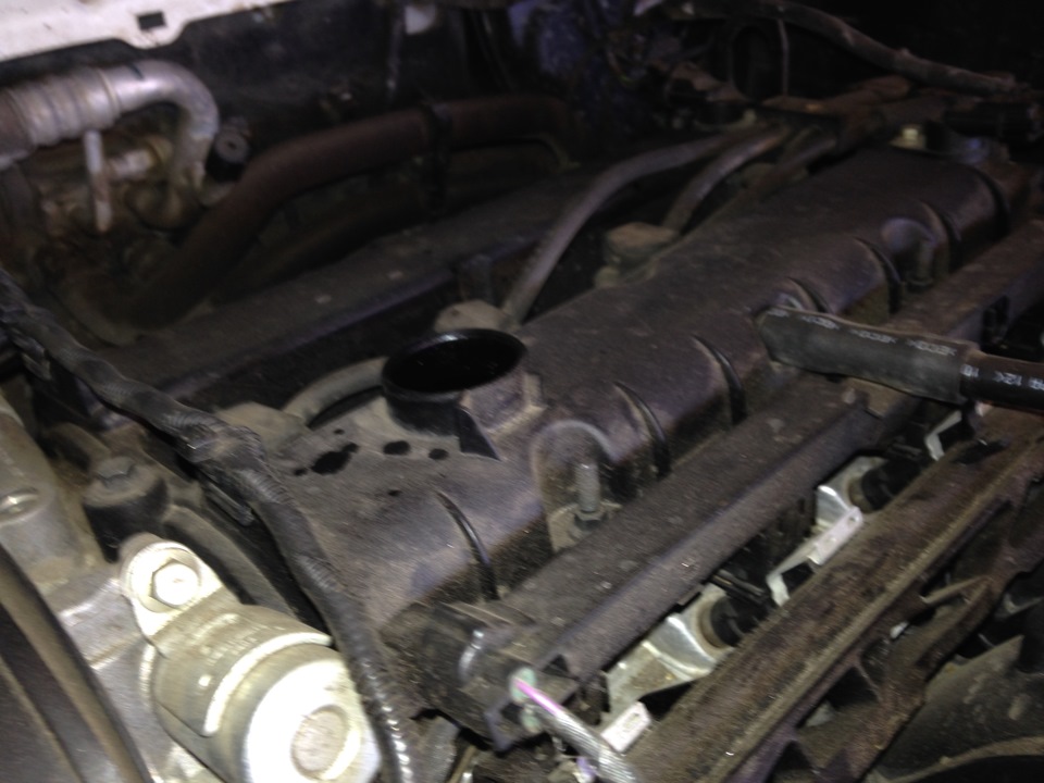 Как выбрать и заменить масло в двигателе автомобиля «Ford Focus 3»
