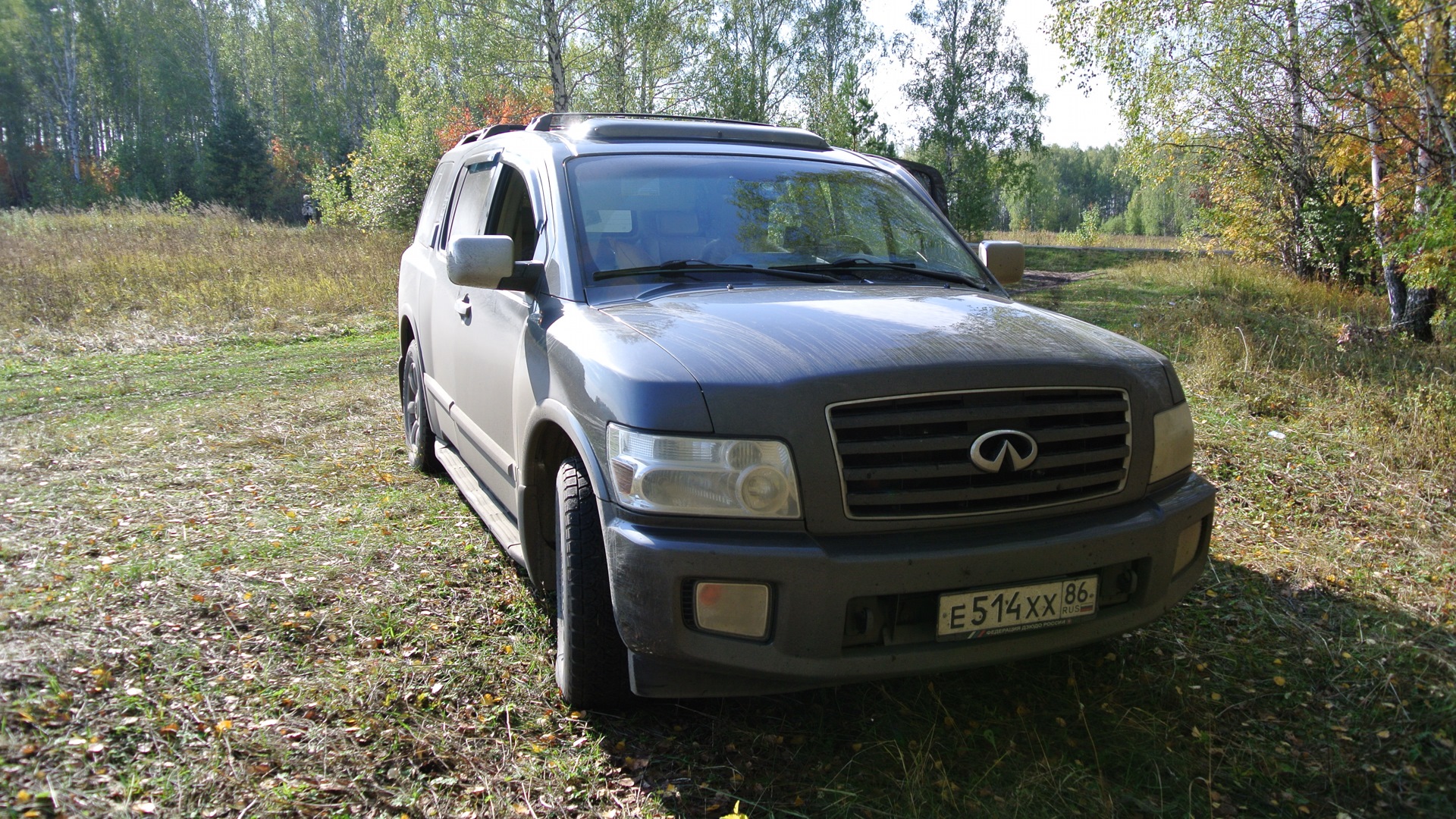 Infiniti QX (2G) 5.6 бензиновый 2004 | на DRIVE2