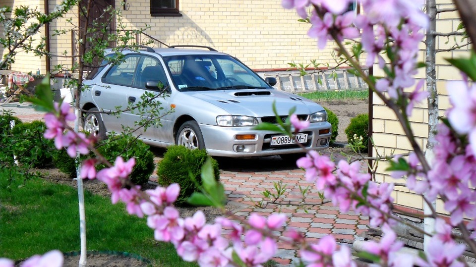Subaru Impreza 2,5 turbo Летучая МЫШЬ