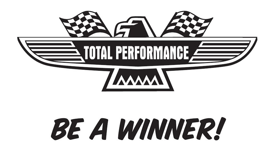 Total performance. Kpi для презентации подвал. Мишлен тотал перфоманс шины. Rays логотип. Total performance.