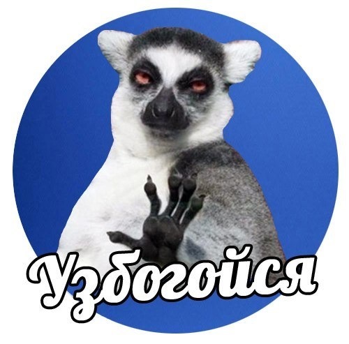 Узбагойся мем с лемуром фото