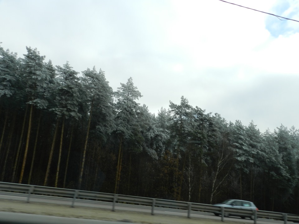 Однодневочка: Тула (много фото) — Citroen C4 L, 1,6 л, 2014 года ...