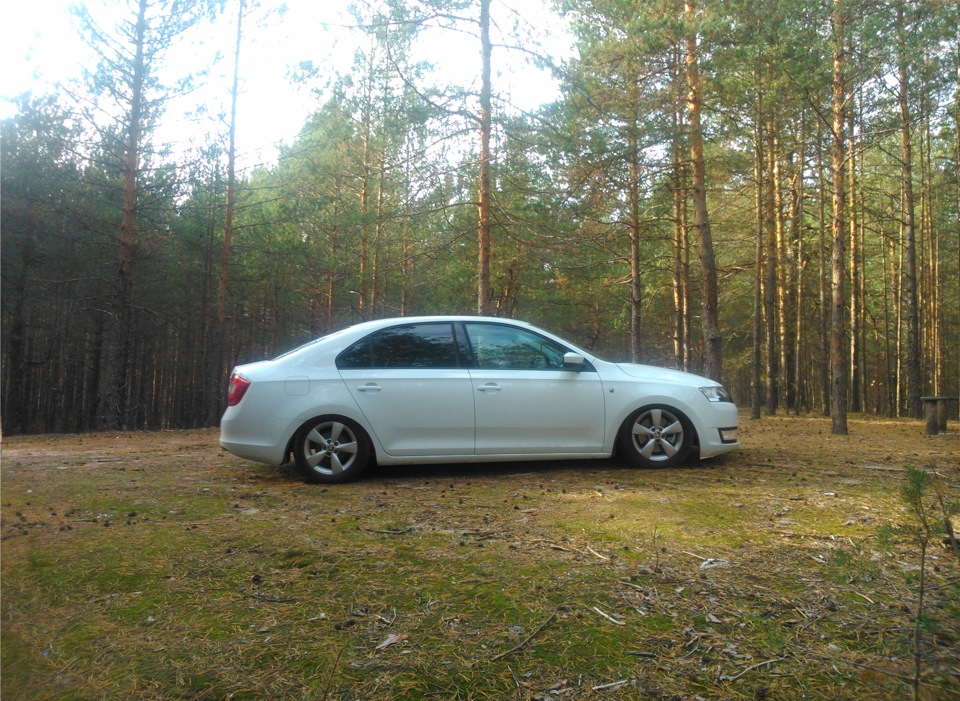 Фото в бортжурнале Skoda Rapid (1G)