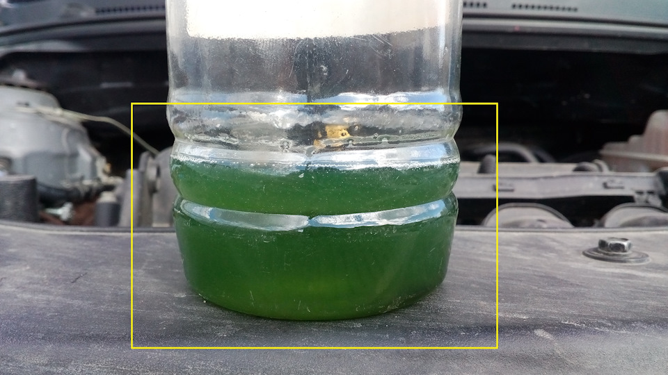 антифриз болотного цвета