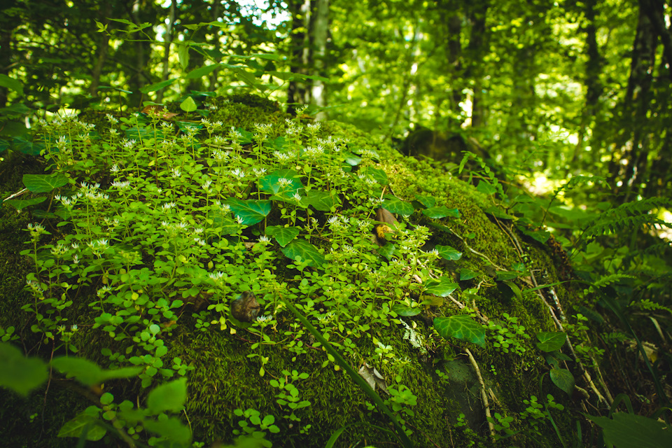 Фото в бортжурнале УАЗ 31512