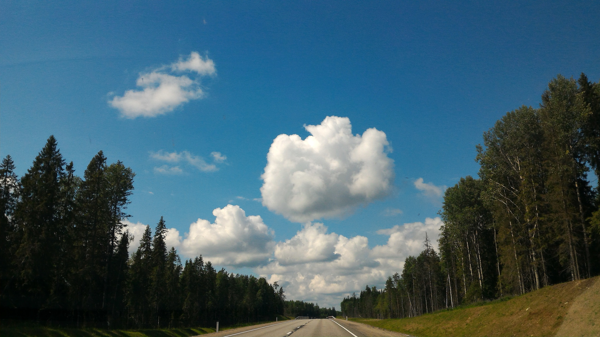 Спб лодейное поле