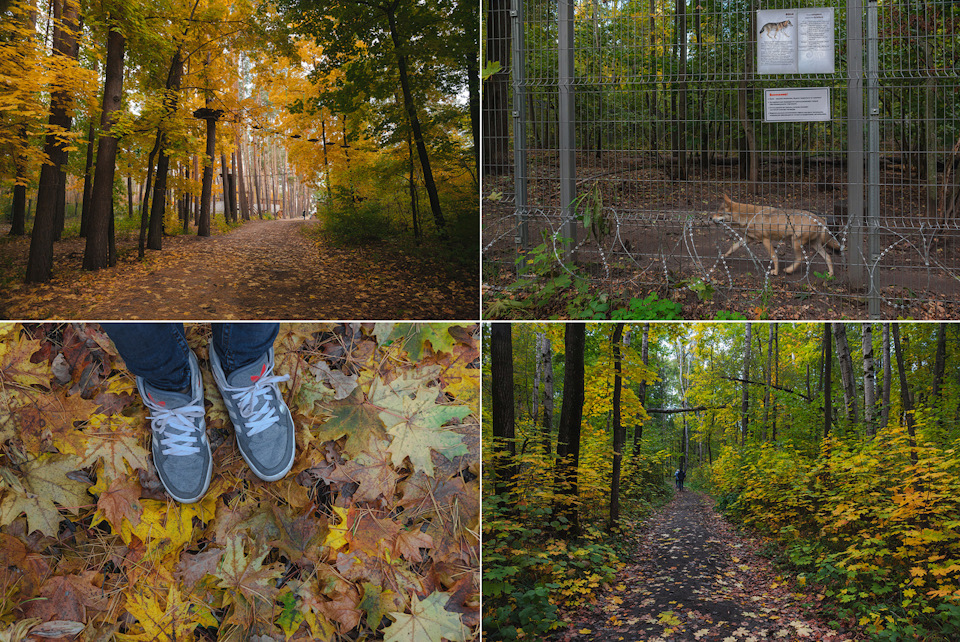 воронежский заповедник история создания. c999945s 960. воронежский заповедник история создания фото. воронежский заповедник история создания-c999945s 960. картинка воронежский заповедник история создания. картинка c999945s 960. Липецкая и Воронежская области воронежский заповедник история создания. c999945s 960. воронежский заповедник история создания фото. воронежский заповедник история создания-c999945s 960. картинка воронежский заповедник история создания. картинка c999945s 960. Липецкая и Воронежская области