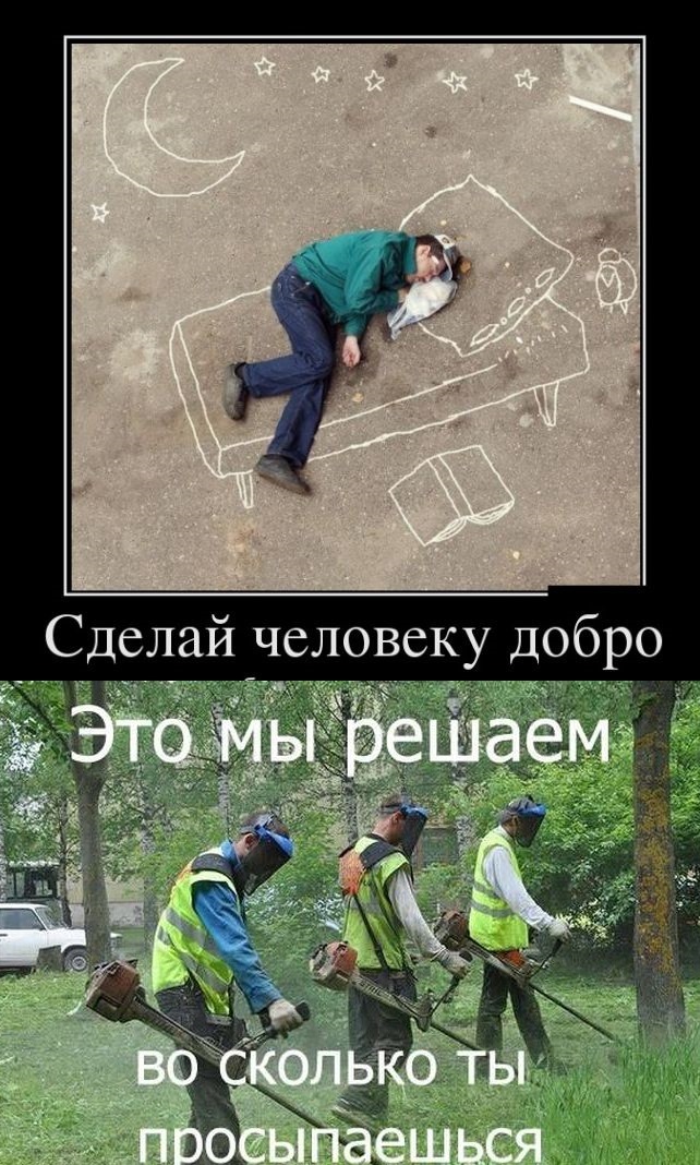 Хохма что это. Хохмы приколы. Хохма смешные картинки. Хохмы мемы. Хохмы цитаты.